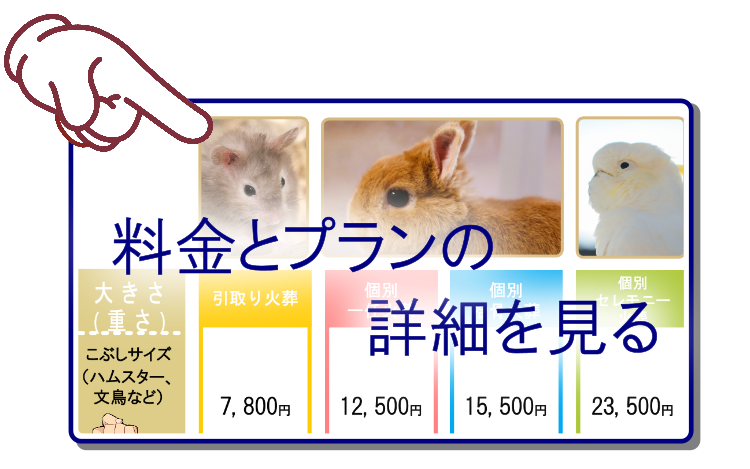 料金とプランの詳細ページはこちらをクリック。