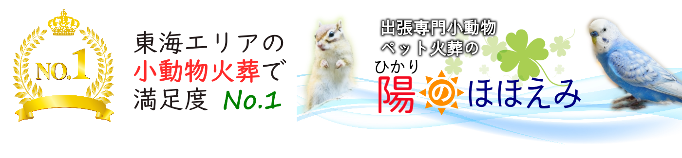 陽（ひかり）のほほえみ